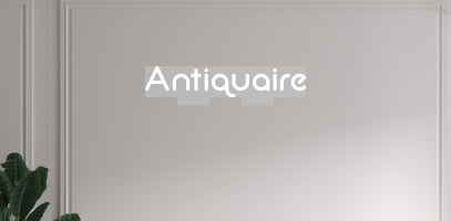 Custom text: Antiquaire